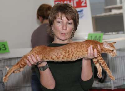 �������� ����� '������� ���-�����' 30 ������-1 ������� 2013., WCF-����� 3050